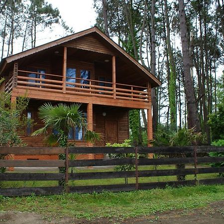 Green Cottage Shekvetili 乌雷基 外观 照片