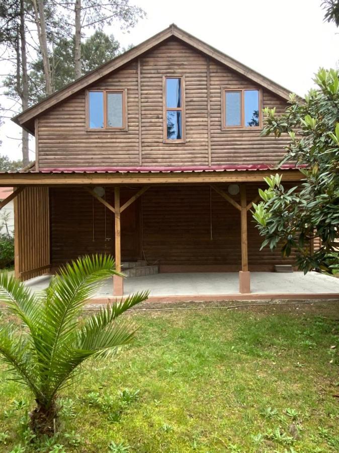 Green Cottage Shekvetili 乌雷基 外观 照片
