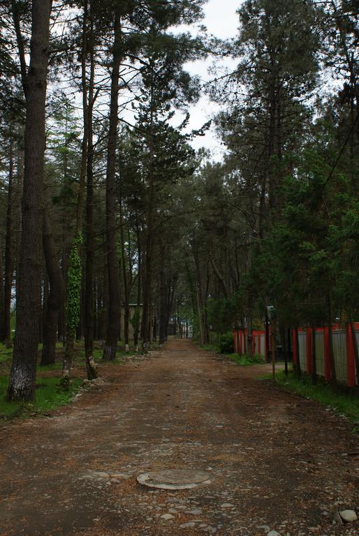 Green Cottage Shekvetili 乌雷基 外观 照片