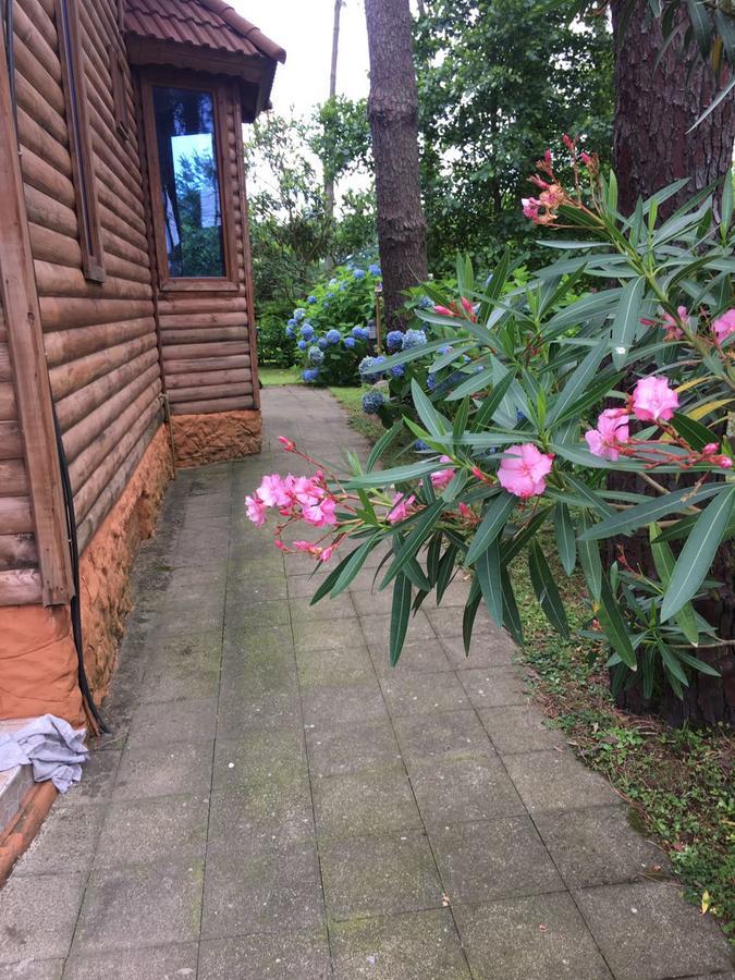Green Cottage Shekvetili 乌雷基 外观 照片