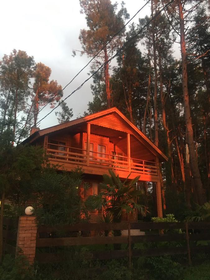 Green Cottage Shekvetili 乌雷基 外观 照片